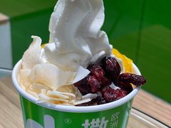 -Salud撒露欧洲冻酸奶(蓝色港湾店)