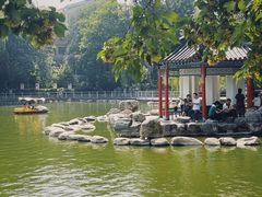 -莲湖公园