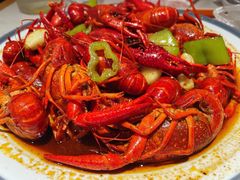 招牌十三香小龙虾-杨氏青龙虾·羊蝎子(托乐嘉店)