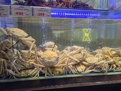 -南海渔村(珠江新城店)