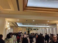 -澳门威尼斯人综合度假区