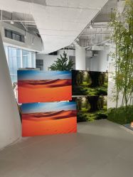 -IMON·HANSA潮玩玩偶毛绒玩具(通州万象汇店)