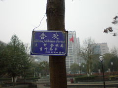 -后襄河公园