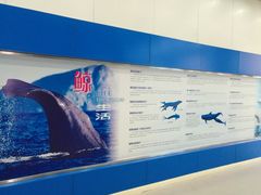 -上海海洋大学鱼文化博物馆(军工路校区)