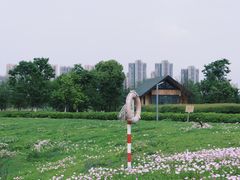 -洋湖国家湿地公园