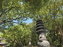 -普陀山风景名胜区-法雨禅寺