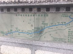 -羚羊峡古栈道森林公园