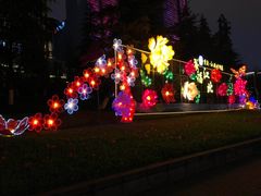 -重庆市江北嘴中央商务区中央公园