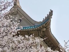 -武汉大学-樱园