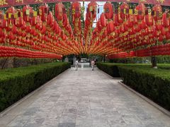 -大槐树寻根祭祖园