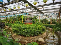 -南宫五洲植物乐园