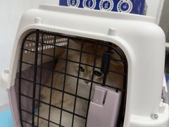 -四月宠物医院·猫专科·心脏专科·内科(转塘店)