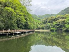 -青城山