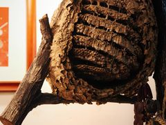 -老张烤羊(王哥庄店)