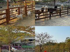 -盈香心动乐园