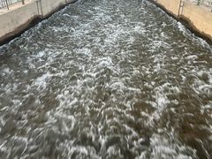 -克拉玛依河景区-九龙潭