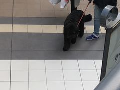 -三井奥特莱斯购物城(爵士之梦长岛店)