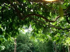 android_upload_pic-旅马餐厅(茅家埠店)