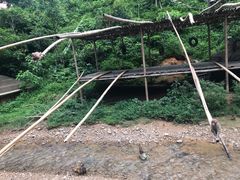 -西双版纳原始森林公园