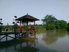 -大湾区中央湿地公园