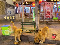 -八木轩·寻味大理白族民俗餐厅(文献路店)