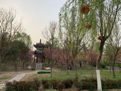 -咸阳湖景区