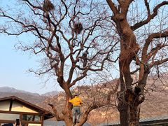 -封龙山风景区