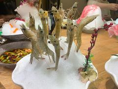 -尚海豆捞(乐虹坊店)