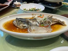 -刘胖子家常菜·蹄花焖藕(中南店)