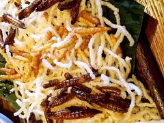 昆虫总动员-云海肴·汽锅鸡·云南菜(天山百盛优客店)