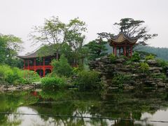 -顺峰山公园