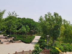 -大兴滨河森林公园