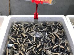 -蚝专家(北滘店)