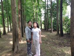 -上海长兴岛郊野公园