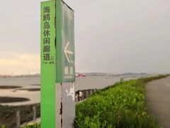 -海鸥岛