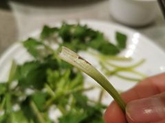 -风味酒家(商业大道店)