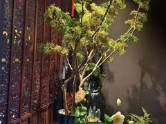-金狮麟·新豫菜(杏石口路店)