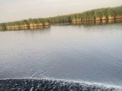 -白洋淀景区