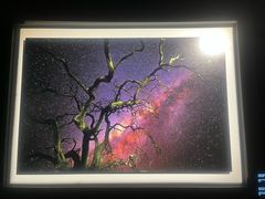 -罗红摄影艺术馆