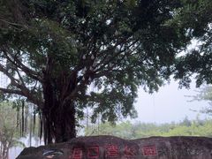-万绿园