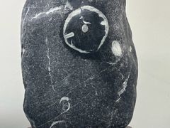 -甘肃地质博物馆