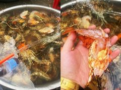 -北岐滩涂