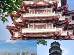-广东惠东海龟国家级自然保护区