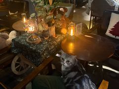 -咖法森林·咖啡  酒吧(天河店)