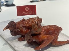 -侨美·唐荔园·40年地道粤菜