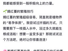 -中山大学附属第六医院(院本部)