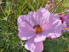 -长春公园(普阳街道)