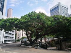 -香港大学