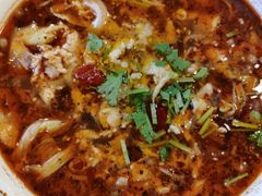 -五虎尚匠美食城(阳光新生活广场店)