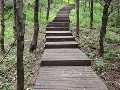 -北京十三陵国家森林公园蟒山景区